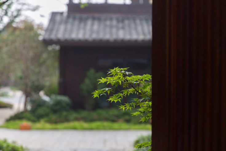 乌镇悦景莊花间堂，塑乌镇“秘密花园”