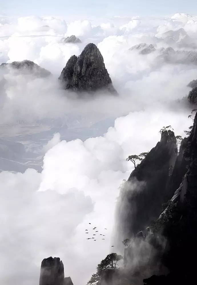 大美黄山：40幅黄山风景摄影！