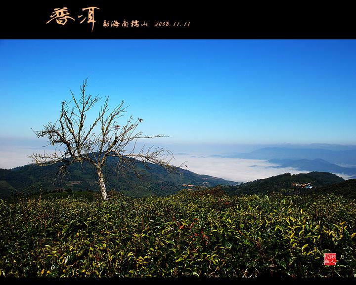 勐海南糯山普洱茶产地摄影 (1/10)