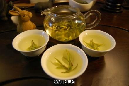 喝茶茶醉