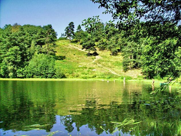 茶叶山和湖茶景图片