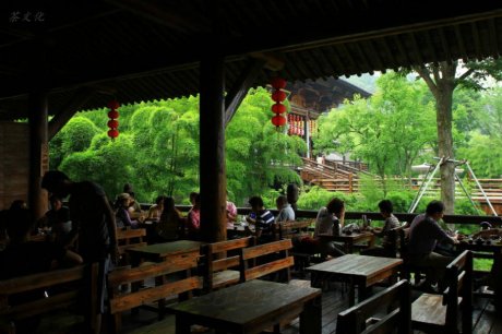 贡茶院 唯有习习清风，时携茗香