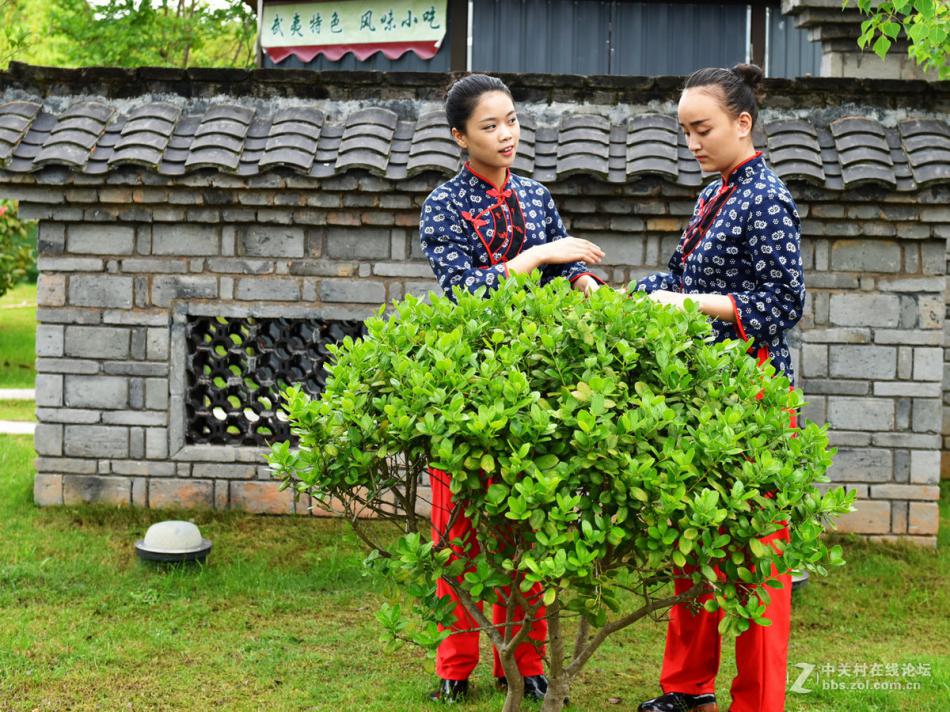 武夷山茶文化《武夷山游记》茶表演 (18/20)