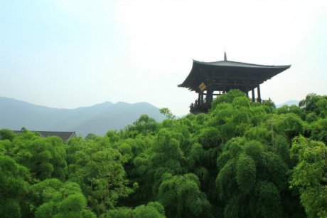 贡茶院 唯有习习清风，时携茗香