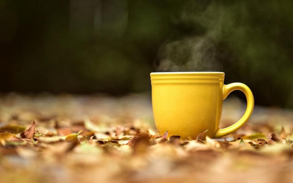 下载一杯茶壁纸