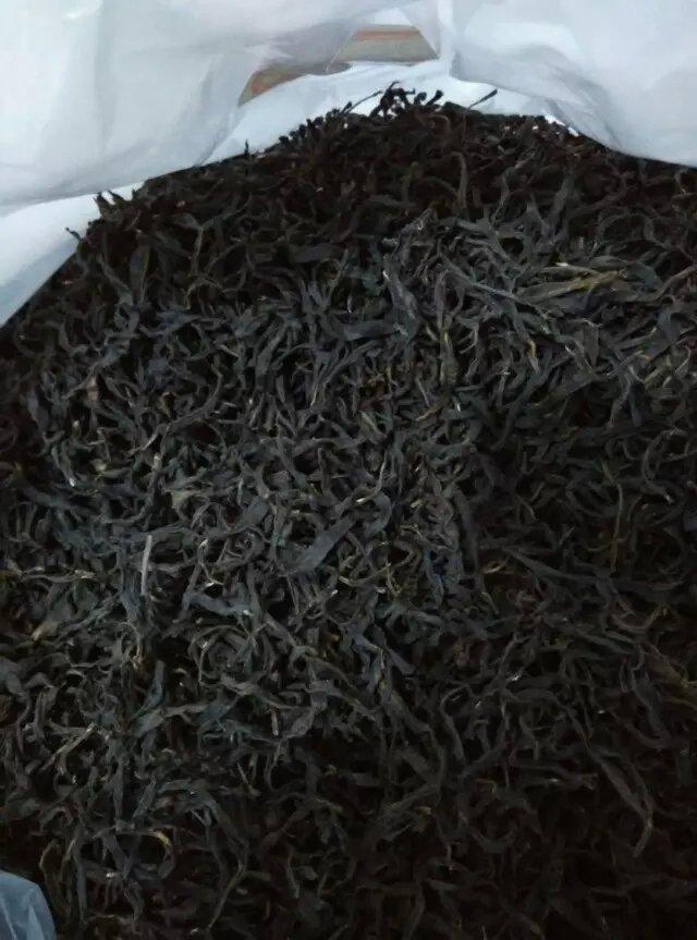 广东茗茶凤凰单丛茶叶随拍欣赏18 (18/20)