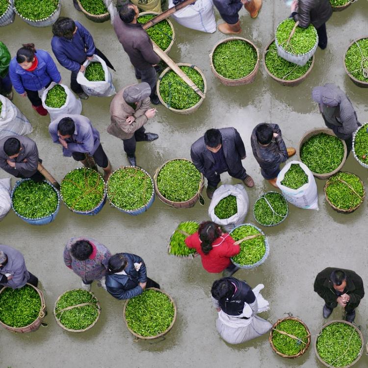 茶农集市图片