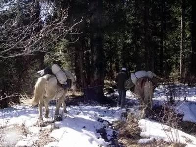 茶马古道“西南马”文化遗产 (2/6)