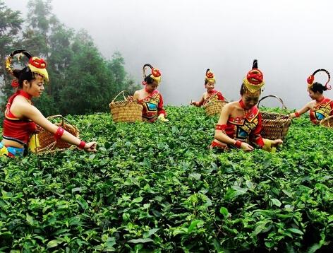 云南省德宏傣族饮茶风俗