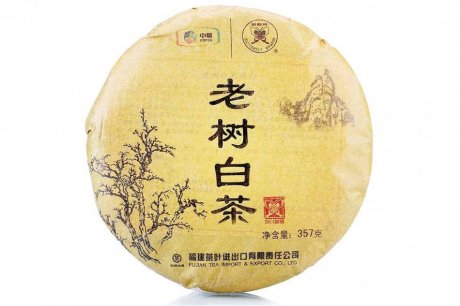 福鼎白茶老树白茶图片