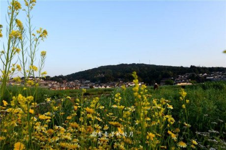 茶马古道上风影摄影16