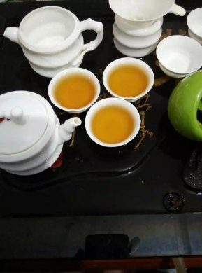 广东茗茶凤凰单丛茶叶随拍欣赏