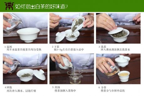 白牡丹茶冲泡过程图片