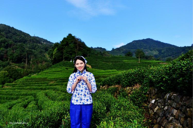 阳光下的采茶女摄影美景 (3/6)