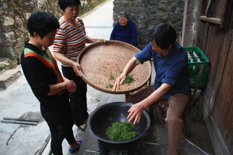 手工炒茶摄影图片2