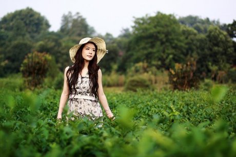 美女茶园 茶海之中 感受茶香 