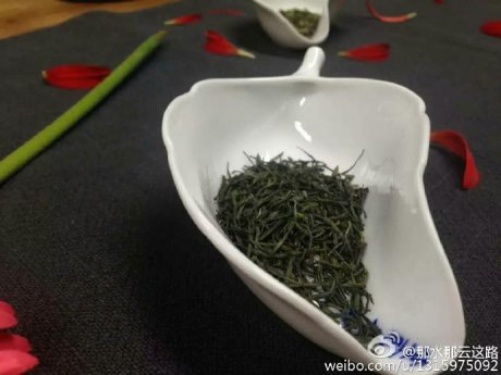 春茶 恩施玉露品鉴泡茶图片 (