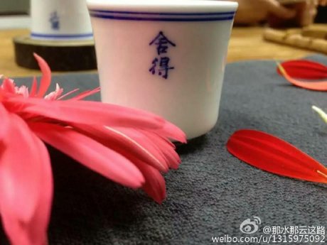 春茶 恩施玉露品鉴泡茶图片 (