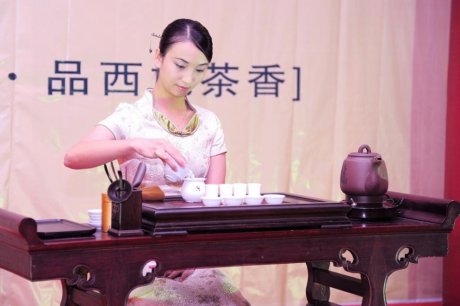 美女茶艺师茶艺表演图片