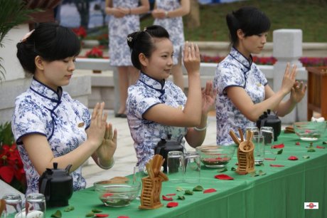 欣赏美女茶艺表演图片