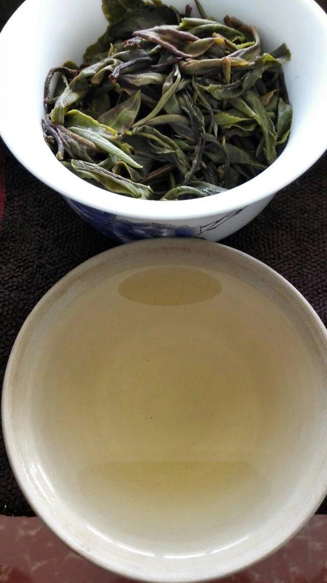 普洱茶生茶冲泡茶汤茶叶素材 (7/20)