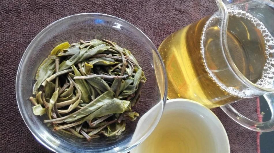 普洱茶生茶冲泡茶汤茶叶素材 (17/20)