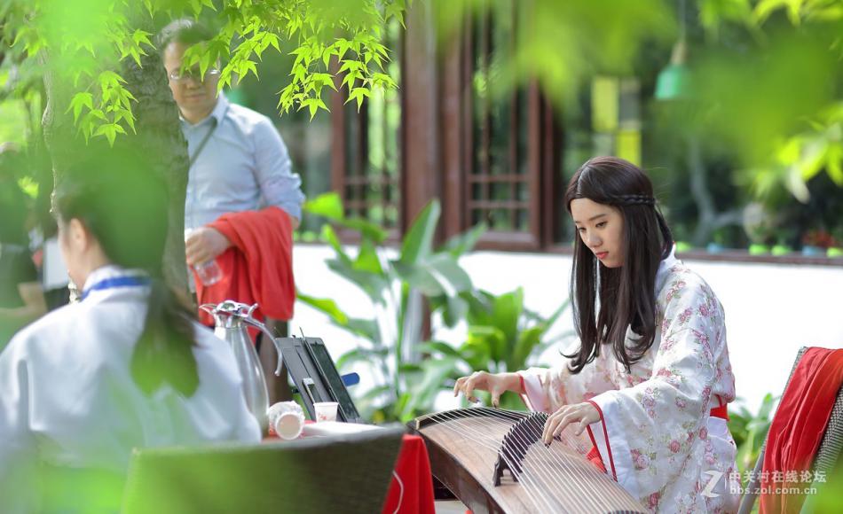 杭州西溪湿地的花仙子茶艺师泡茶摄影 (2/10)