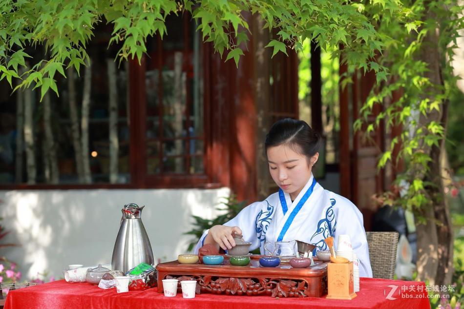 杭州西溪湿地的花仙子茶艺师泡茶摄影 (1/10)