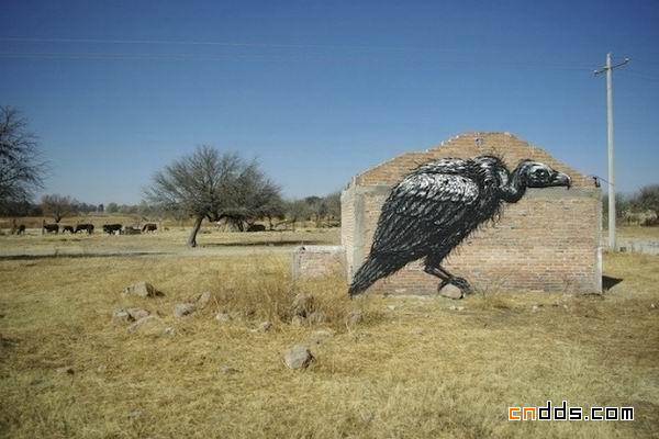 街头艺术家 ROA 在墨西哥