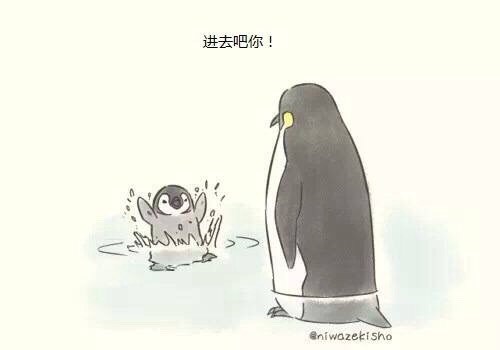 可爱萌萌的企鹅父子  小漫画