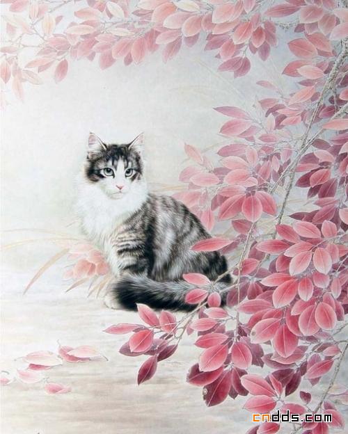 唯美优雅的猫插画艺术