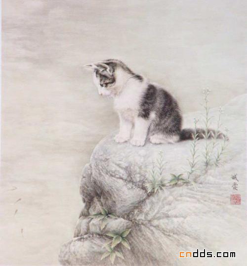 唯美优雅的猫插画艺术