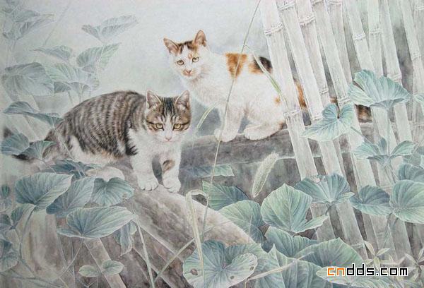 快要跳出画面的可爱小猫插画