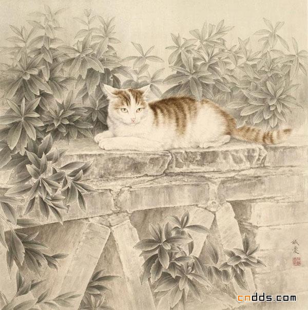 快要跳出画面的可爱小猫插画