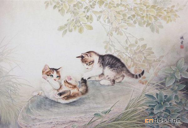 快要跳出画面的可爱小猫插画