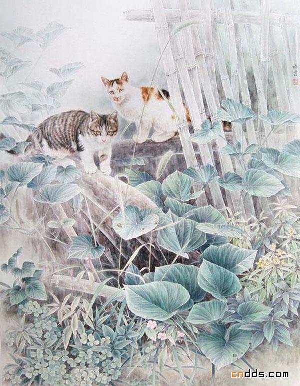 快要跳出画面的可爱小猫插画