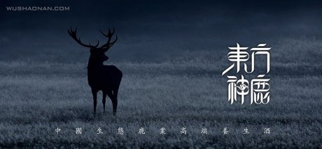 东方神鹿包装作品欣赏