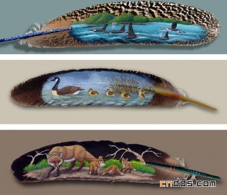 羽毛上的神奇绘画