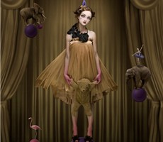 Natalie Shau 插画设计