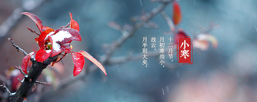 中国风banner