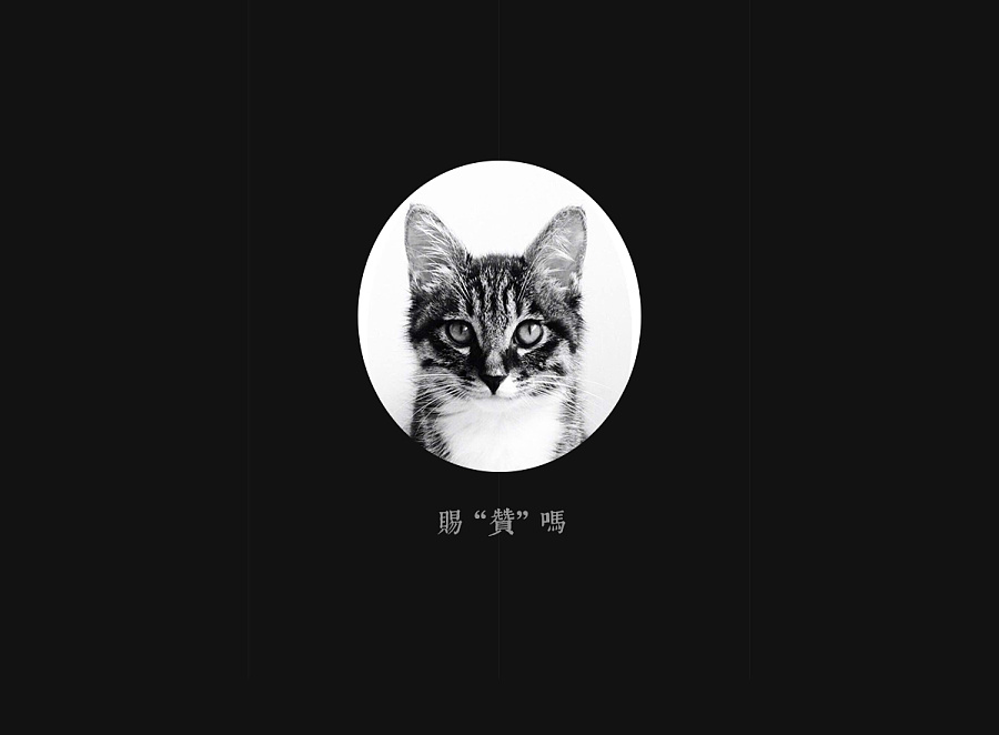 天猫淘宝-砂锅详情页/功能性详情页介绍/不走中