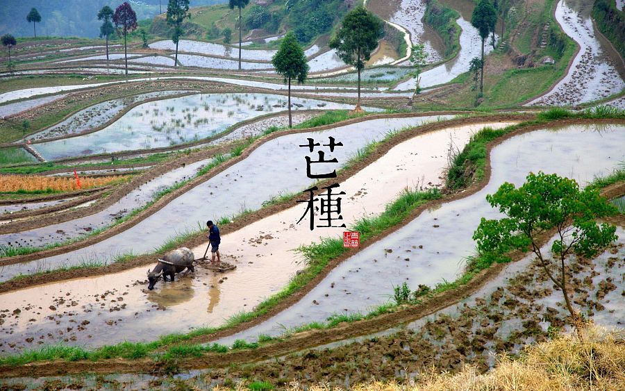 中国古风自然风景 二十四节气  壁纸 图案 海报设