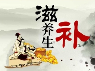 中国风 养生 banner