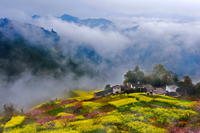 云雾飘渺的仙境徽州风景，不一样的景色美~