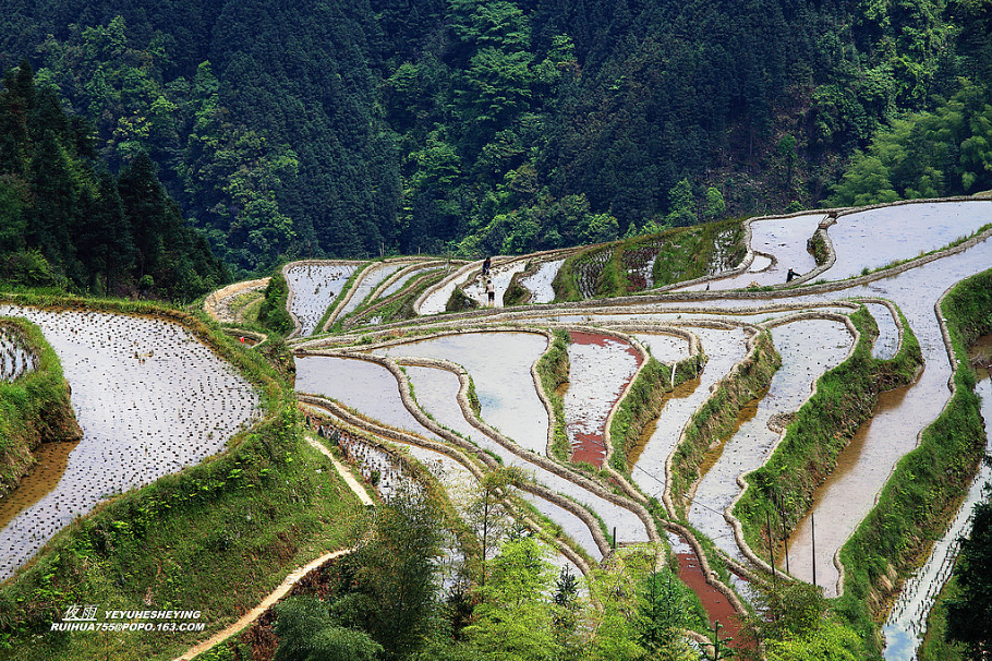 中国最美的山水画--苗寨梯田美景