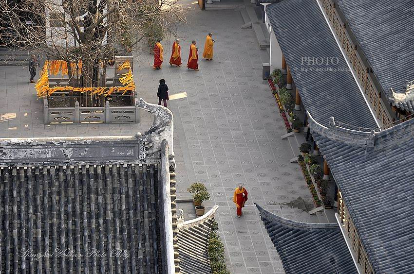 上海古刹真如寺 佛教净土