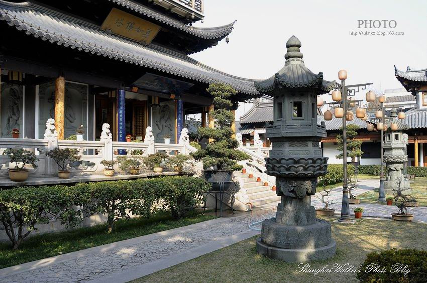 上海古刹真如寺 佛教净土