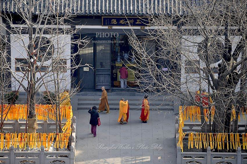 上海古刹真如寺 佛教净土