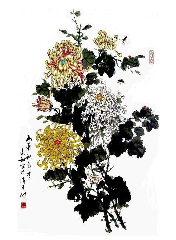 梅兰竹菊--菊视觉艺术作品