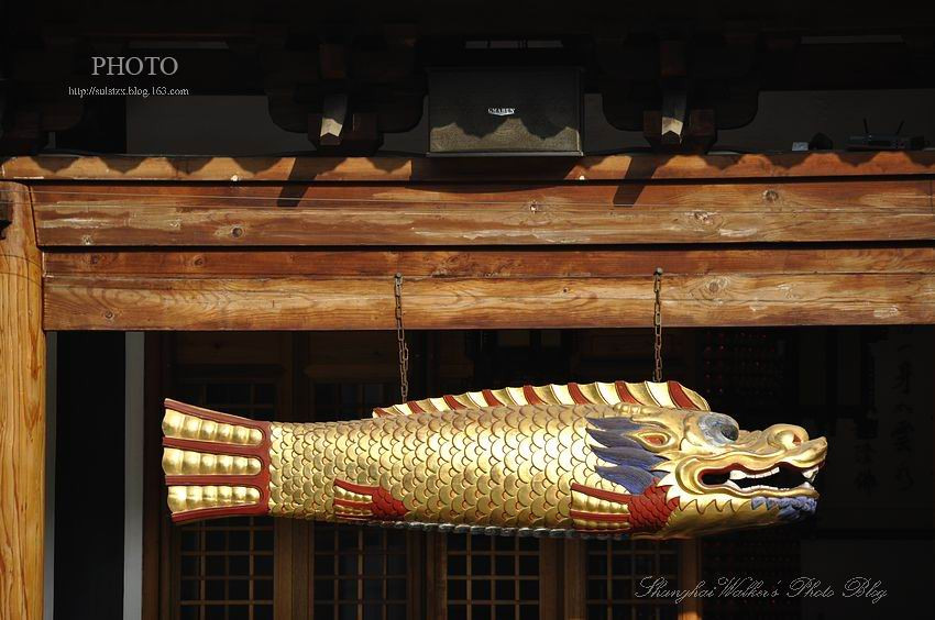 上海古刹真如寺 佛教净土